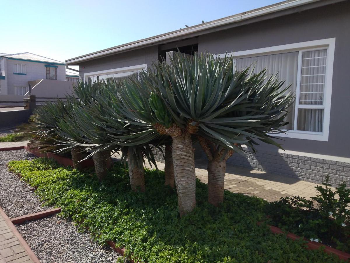 20 On Beach Road 斯瓦科普蒙德 外观 照片