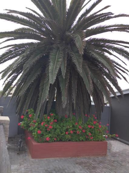 20 On Beach Road 斯瓦科普蒙德 外观 照片